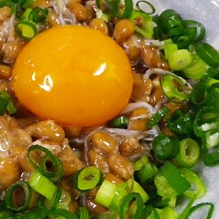 納豆じゃこの黄身からしあえ